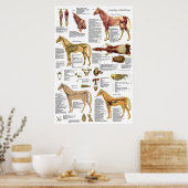 Tierarztmuskel Skelettanatomie Poster (Küche)