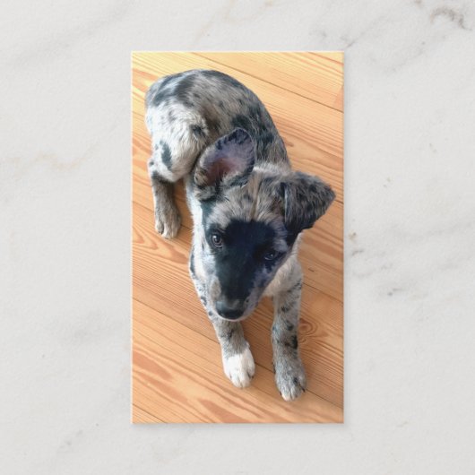 Tierbetreuung Hinzufügen eines benutzerdefinierten Visitenkarte (Vorderseite)