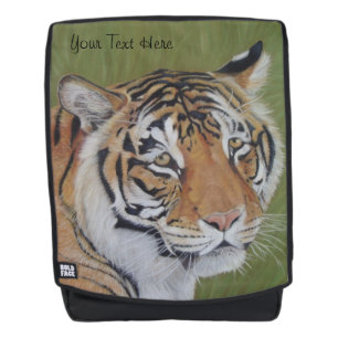 Tierbild des großen Katzenigers Rucksack