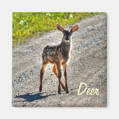 Tierdesign von Male Deer Fawn Magnet (Vorne)
