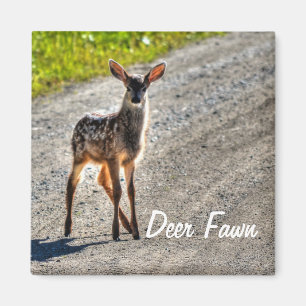 Tierdesign von Male Deer Fawn Magnet