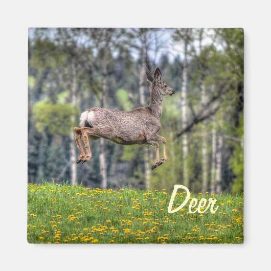 Tierdesign von Mule Dee & Field Wildlife Magnet (Vorne)