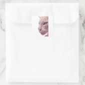 Tierdesigns Quadratischer Aufkleber (Tasche)