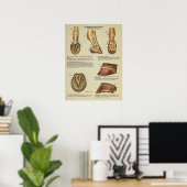 Tierdiagramm zur Anatomie der Pferdefußhalde Poster (Heimbüro)
