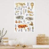 Tierdiagramm zur Anatomie der Skelettmuskulatur Poster (Küche)