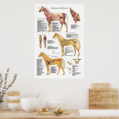 Tierdiagramm zur Skelettanatomie Poster (Küche)