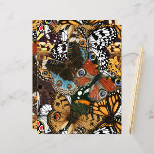 Tierdruck. Schmetterlingsflügel.