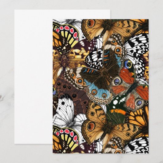 Tierdruck. Schmetterlingsflügel. (Vorne/Hinten)