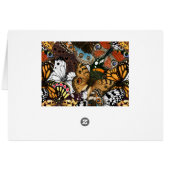 Tierdruck. Schmetterlingsflügel. (Rückseite Horizontal)