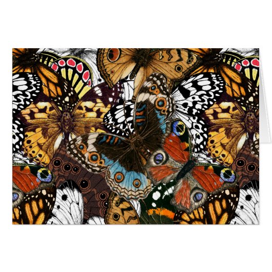 Tierdruck. Schmetterlingsflügel. (Vorderseite (Horizontal))