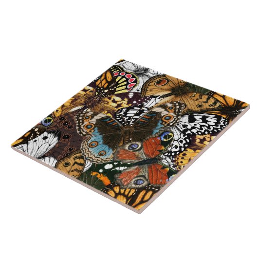 Tierdruck. Schmetterlingsflügel. Fliese (Seite)