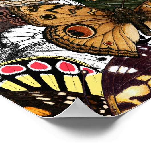 Tierdruck. Schmetterlingsflügel. Poster (Ecke)