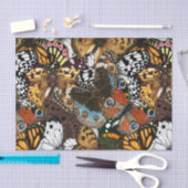 Tierdruck. Schmetterlingsflügel. Seidenpapier (Handwerk)