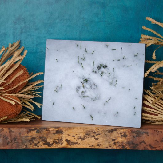 Tierdrucke im Schnee Fotoplatte (Seite)