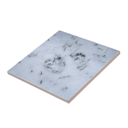 Tierdrucke im Schneegeflecht Fliese (Seite)