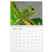 Tiere 12 Monate Kalender (Feb 2026)