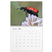 Tiere 12 Monate Kalender (Jan 2026)