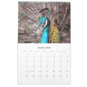 Tiere 2015 kalender (Jan 2026)