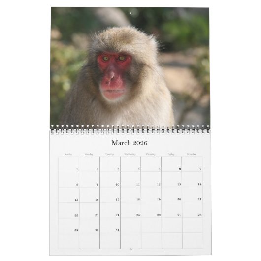 Tiere 2025 kalender (Mär 2026)