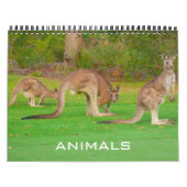 Tiere 2025 kalender (Titelbild)