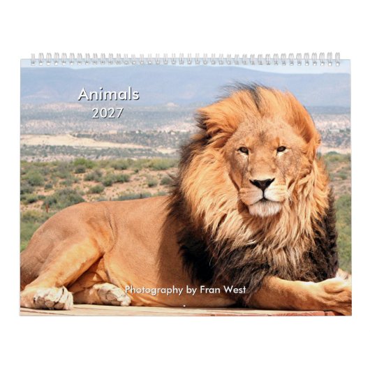 Tiere 2027 Kalender (Titelbild)