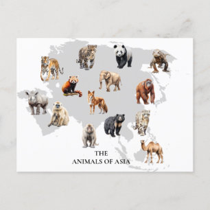 Tiere Asiens  Postkarte