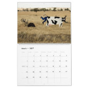 Tiere auf Kalender der Fahrrad-2013 (Mär 2027)