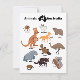 Tiere aus Australien Aussie Wildlife