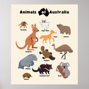 Tiere aus Australien Aussie Wildlife Poster