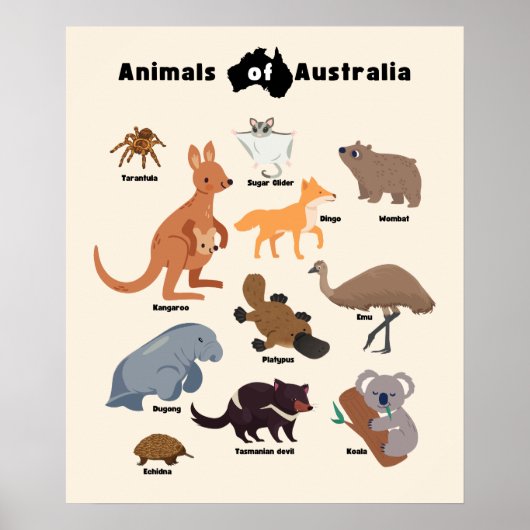 Tiere aus Australien Aussie Wildlife Poster (Vorne)