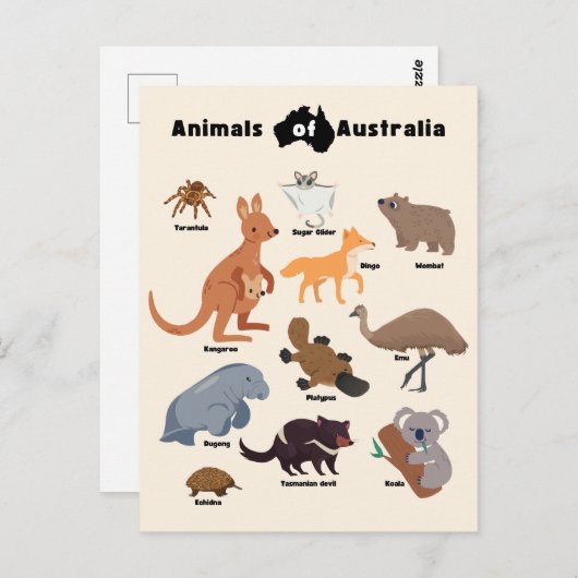 Tiere aus Australien Aussie Wildlife Postkarte (Vorne/Hinten)
