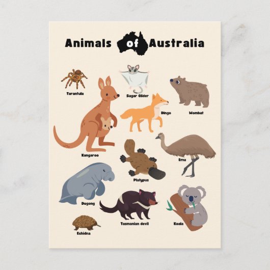 Tiere aus Australien Aussie Wildlife Postkarte (Vorderseite)