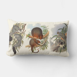 Tiere aus Australien die drei Possummen Cushions Lendenkissen