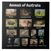 Tiere aus Australien Fliese (Vorderseite)