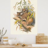 Tiere aus Australien, Koala Poster (Küche)