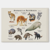 Tiere aus Australien Magnet (Vorderseite)