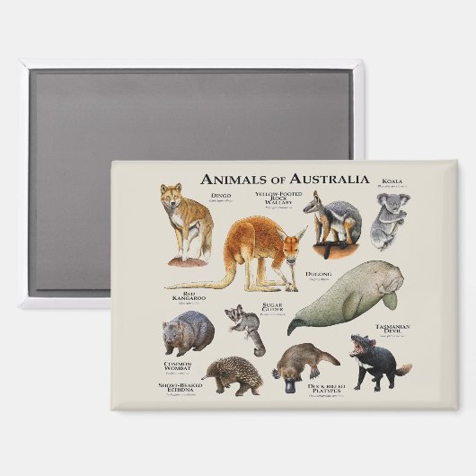Tiere aus Australien Magnet (Vorderseite/Rückseite)