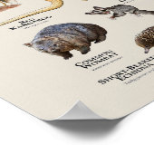 Tiere aus Australien Poster (Ecke)