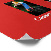 Tiere aus Australien Poster (Ecke)