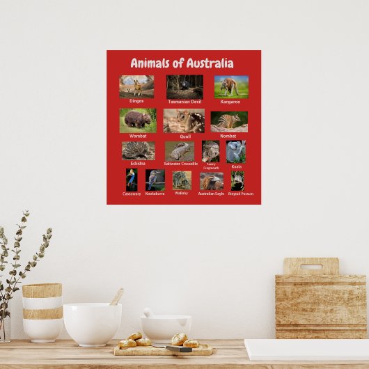 Tiere aus Australien Poster (Küche)