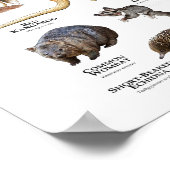 Tiere aus Australien Poster (Ecke)