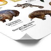 Tiere aus Australien Poster (Ecke)