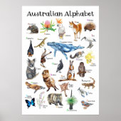 Tiere aus Australien Poster (Vorne)