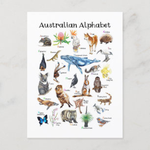 Tiere aus Australien Postkarte