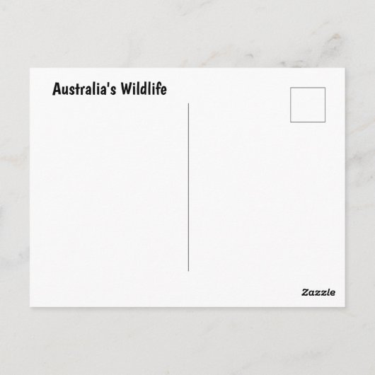 Tiere aus Australien Postkarte (Rückseite)
