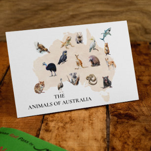 Tiere aus Australien Postkarte
