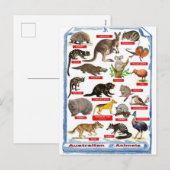 Tiere aus Australien Postkarte (Vorne/Hinten)