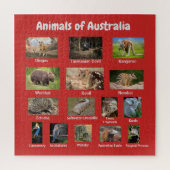Tiere aus Australien Puzzle (Vertikal)