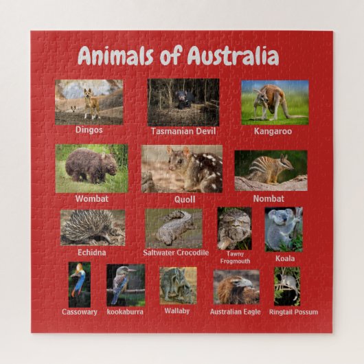 Tiere aus Australien Puzzle (Vertikal)