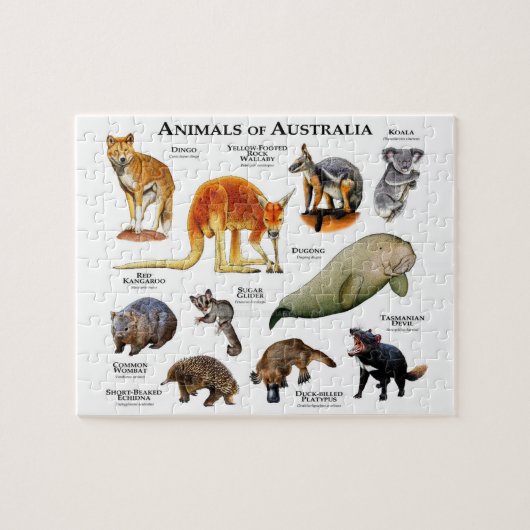 Tiere aus Australien Puzzle (Horizontal)